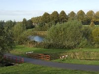 NL, Noord-Brabant, 's Hertogenbosch, De Pettelaar 1, Saxifraga-Jan van der Straaten